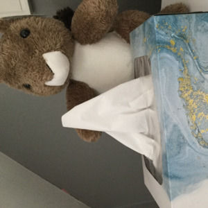 Meet your Posher, Tiffany